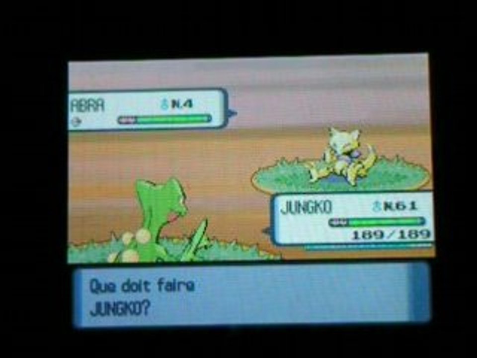 Rencontre avec mon 4e shiney