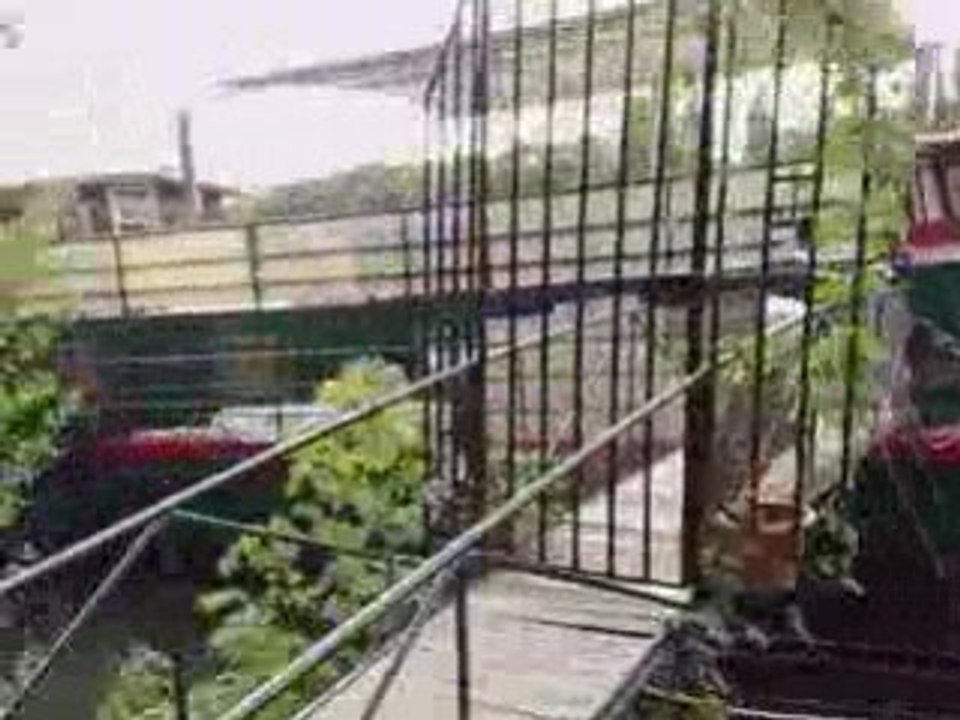 Balade dominicale dans le Bois de Boulogne Paris sur Segway