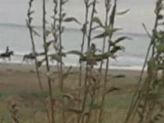 ma cousine au galop sur la plage