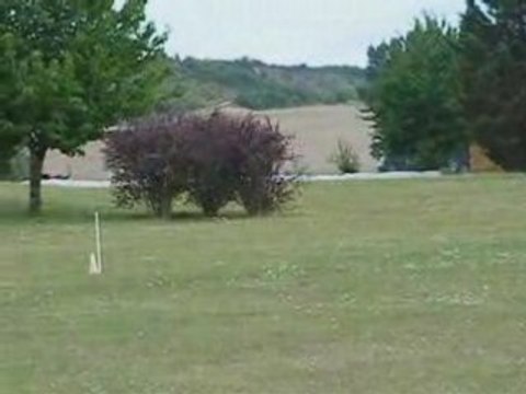 2ème manche Irish Wolfhound Chpt de France PVL 2008