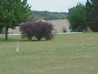 2ème manche Irish Wolfhound Chpt de France PVL 2008