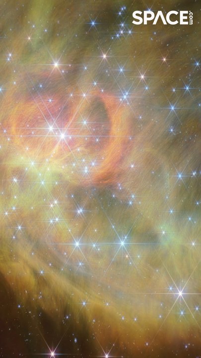 A Cosmic Journey to IC 348 with the James Webb Telescope