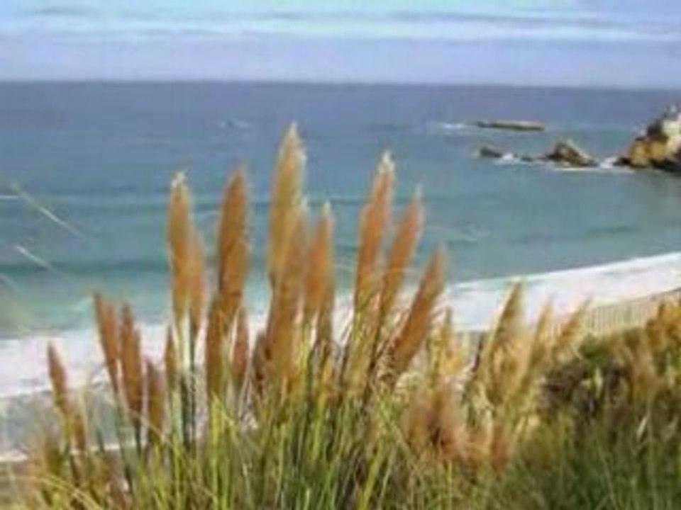 Surfcasting - best of 2002/2006