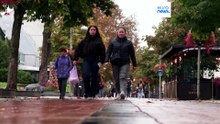 Новости дня | 4 октября 2026 г. — вечерний выпуск