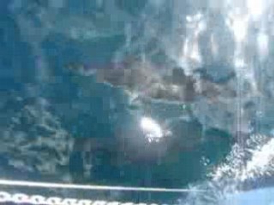 MOV02989