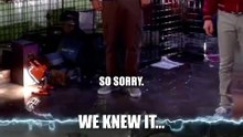 I told you so." Howard in at least one universe 😂 #StuartFailsToSaveTheUniverse #TheBigBangTheory