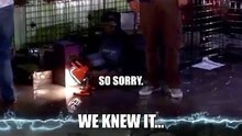 I told you so." Howard in at least one universe 😂