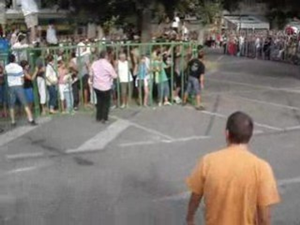 Fête Votive à St Rémy de Provence