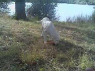 Deehane rapport à l'eau 17-08-08