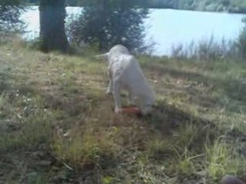 Deehane rapport à l'eau 17-08-08