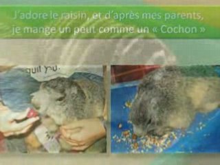 Coucou les Amis - par Bonny - PPS