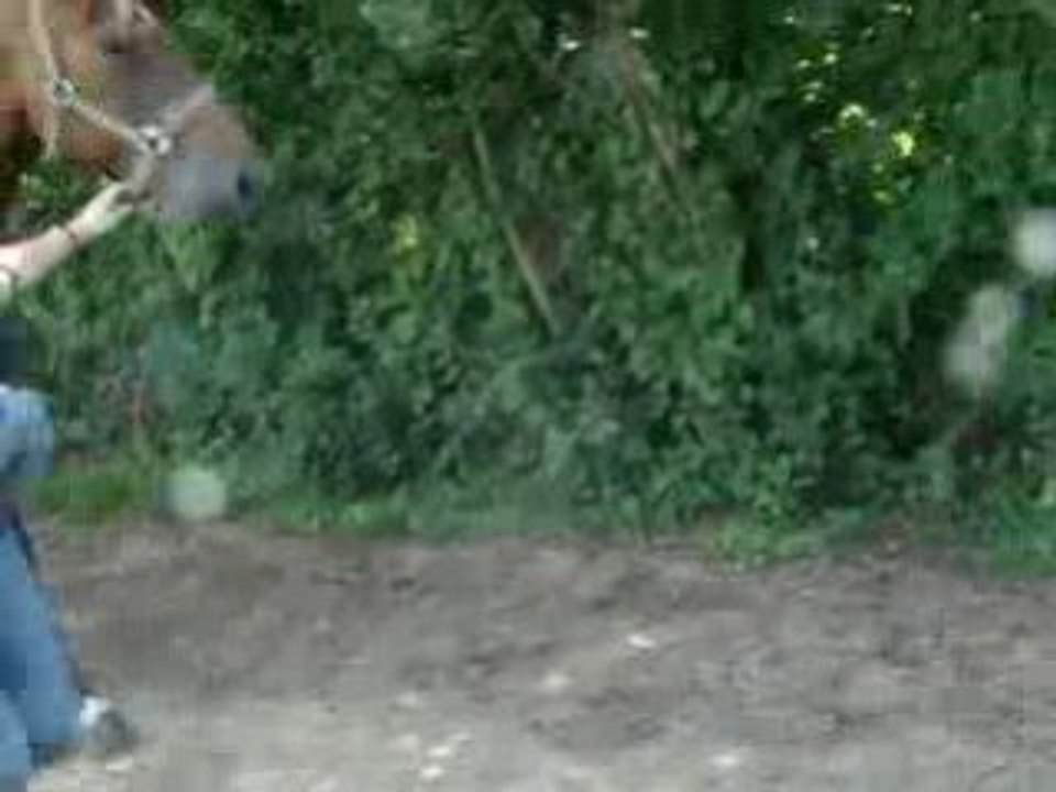 17 Aout 2008 (3)