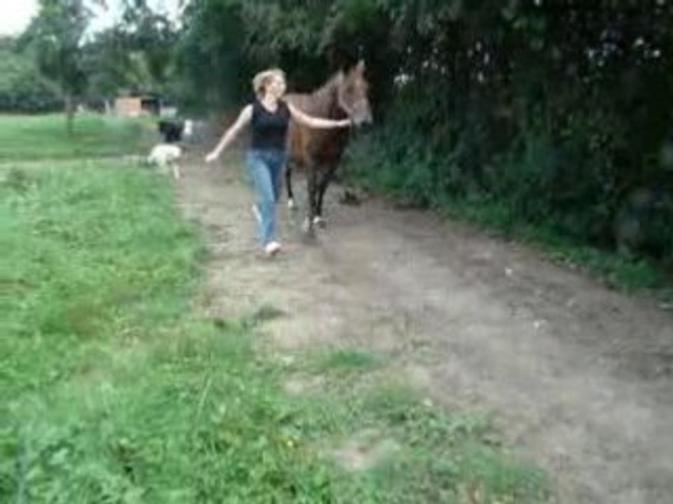 17 Aout 2008 (8)