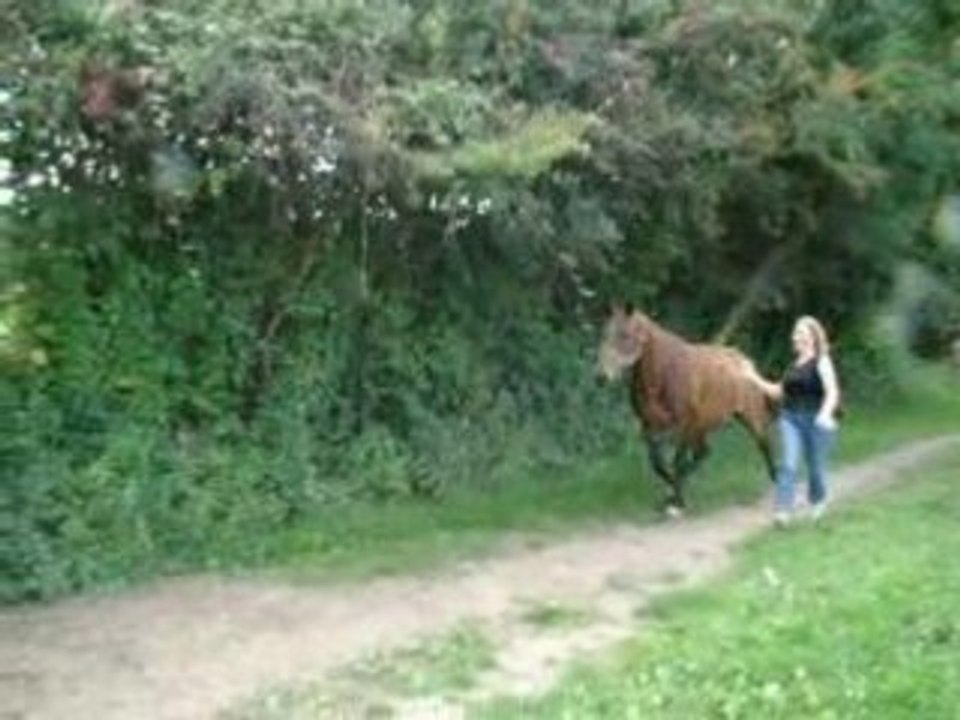 17 Aout 2008 (9)