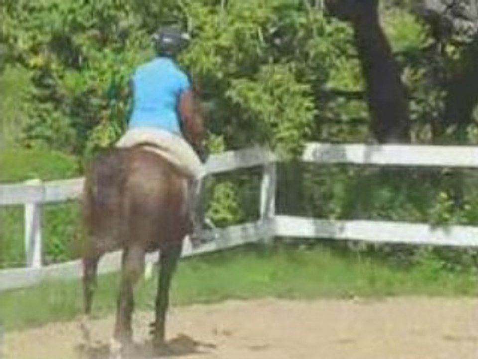 cours avec casimodo