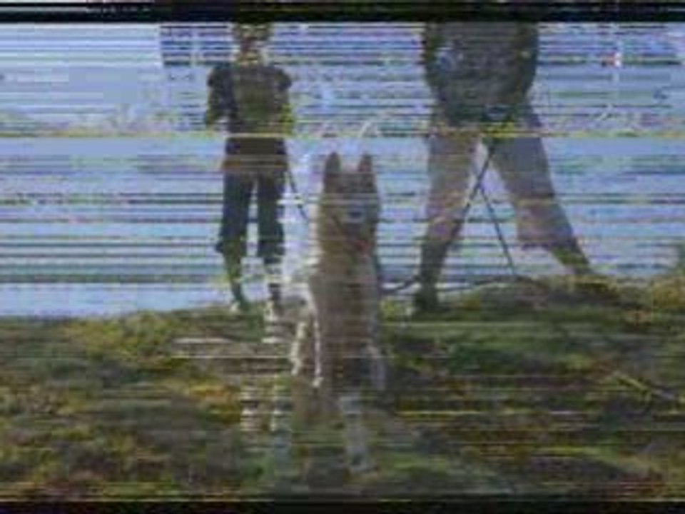 Mes vacance ds l'chud parti 1_0001