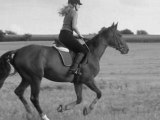 Galop dans les chaumes noir et blanc