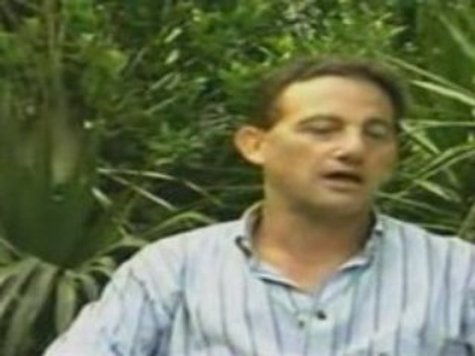 Fida-i  : clip PALESTINE