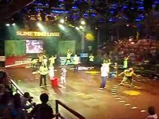 Swimming with Dolphins