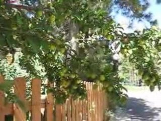 Organic Farmers vs everyone else that needs Genewize