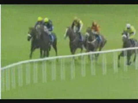 Desmond Stakes Gr3 170808 Carribean Sunset