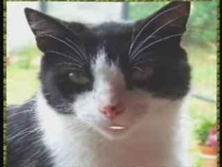 DERRIÈRE CHEZ MOI !