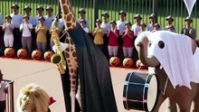 Halloween Animals