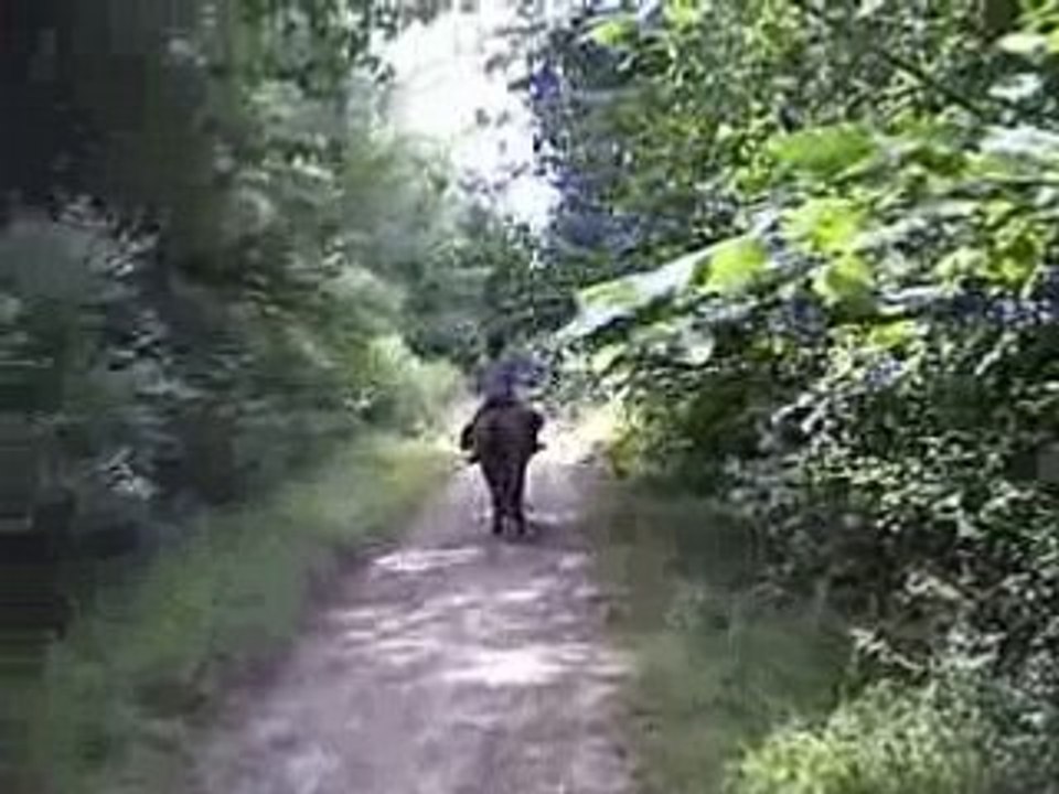 Au pas