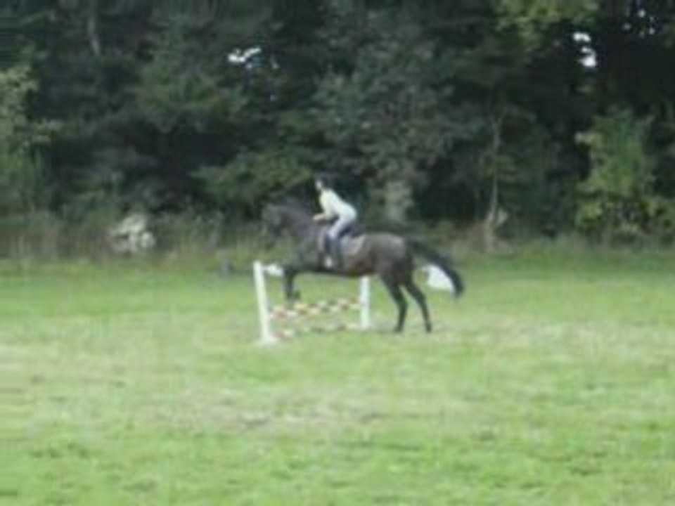 Parcours de CSO avec Plouf ! ^^