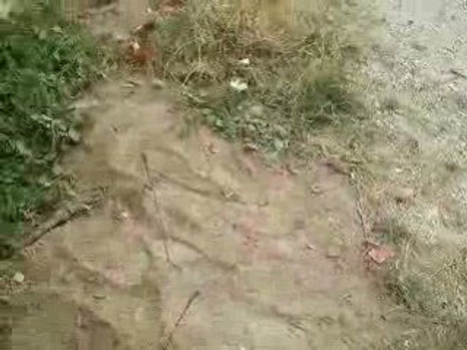 fusee parti petard rester