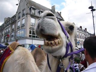 Cortège 15 août à Cambrai (7)