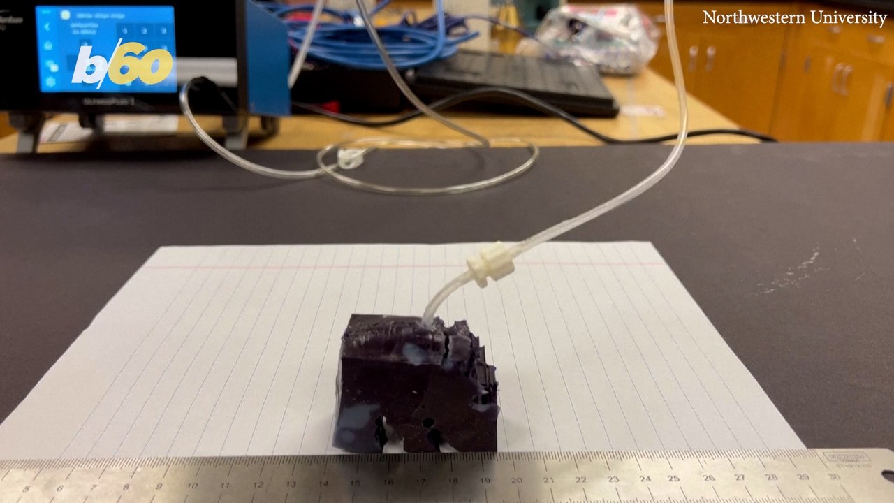 First robot designed entirely by AI, in seconds