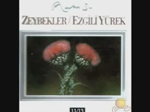 Ruhi Su Yine Bir Gariplik Düştü Üstüme