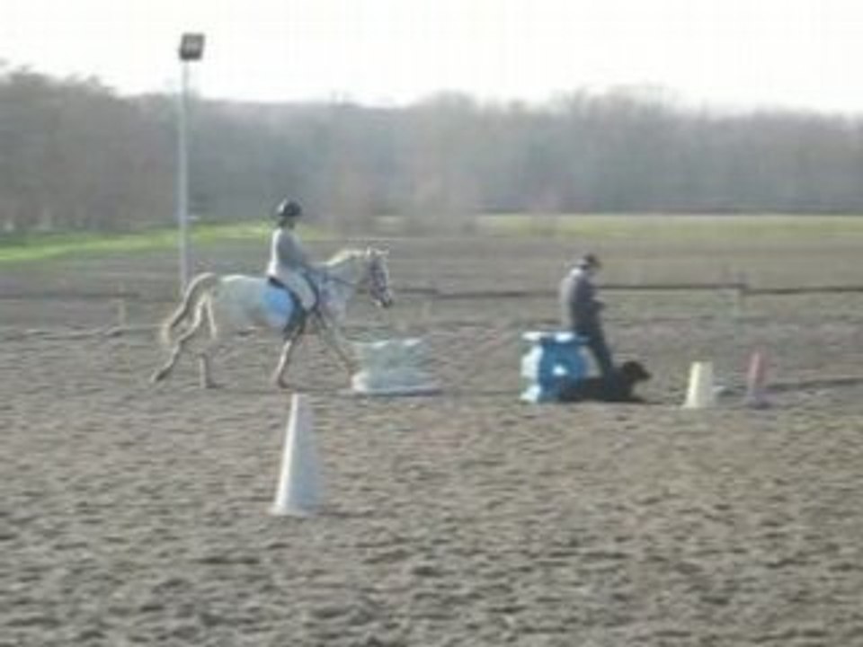 chouchou