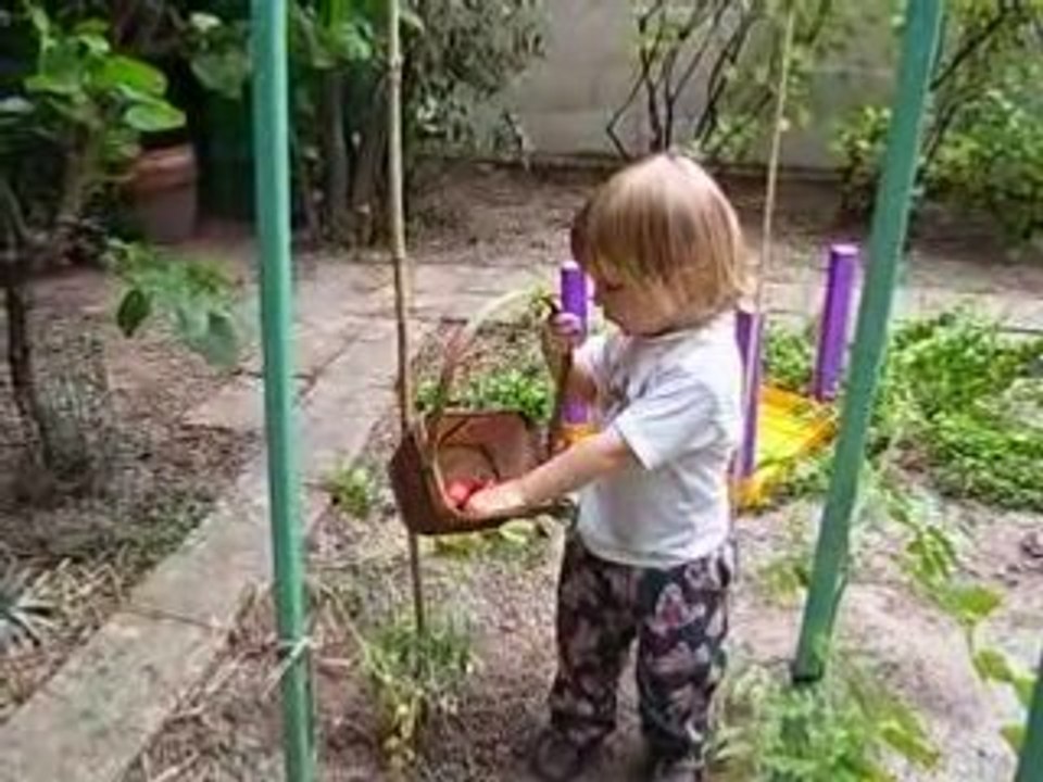 Après la cueillette...