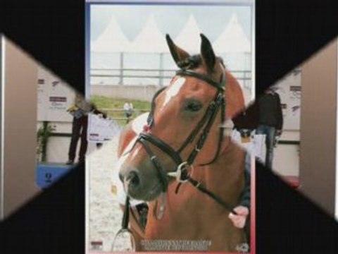 jenny des chouans mon ptit bébé d'amour