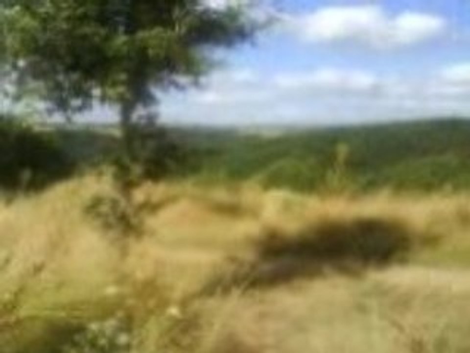 Moto cross