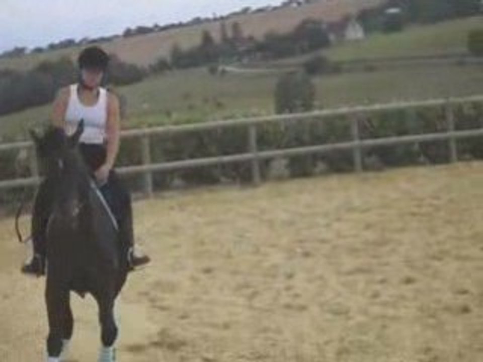 Travail sur le plat180808