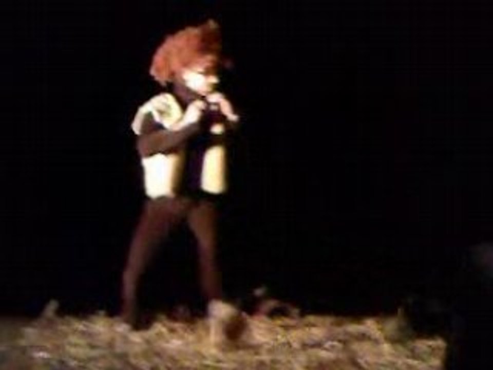 Fête de la Brèche Bondiou 2008-Défilé de mode