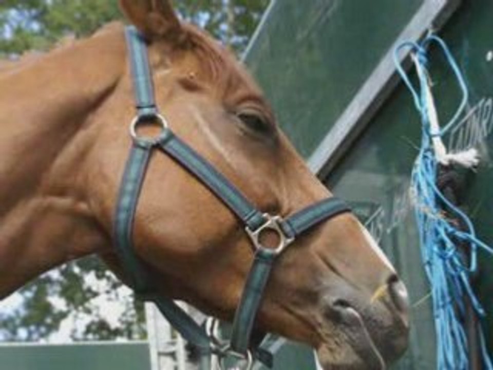 Montage de lamotte 2008