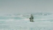 Funny Video Clips - Shark attack - Eskimo meets killer whale