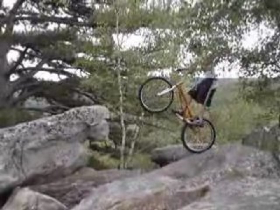 MOV02648