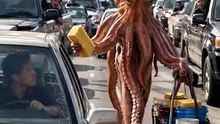 This Octopus Started Washing Cars to Make Some Extra Cash 🐙💰