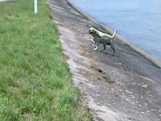 Sarah plongeon ponton