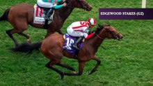Fasig-Tipton: Dynamic Pricing