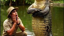 “முதலை பற்றிய சுவாரஸ்யமான தகவல்கள் | Tamil Wildlife Shorts”  #Shorts