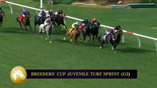 Fasig-Tipton: Cy Fair