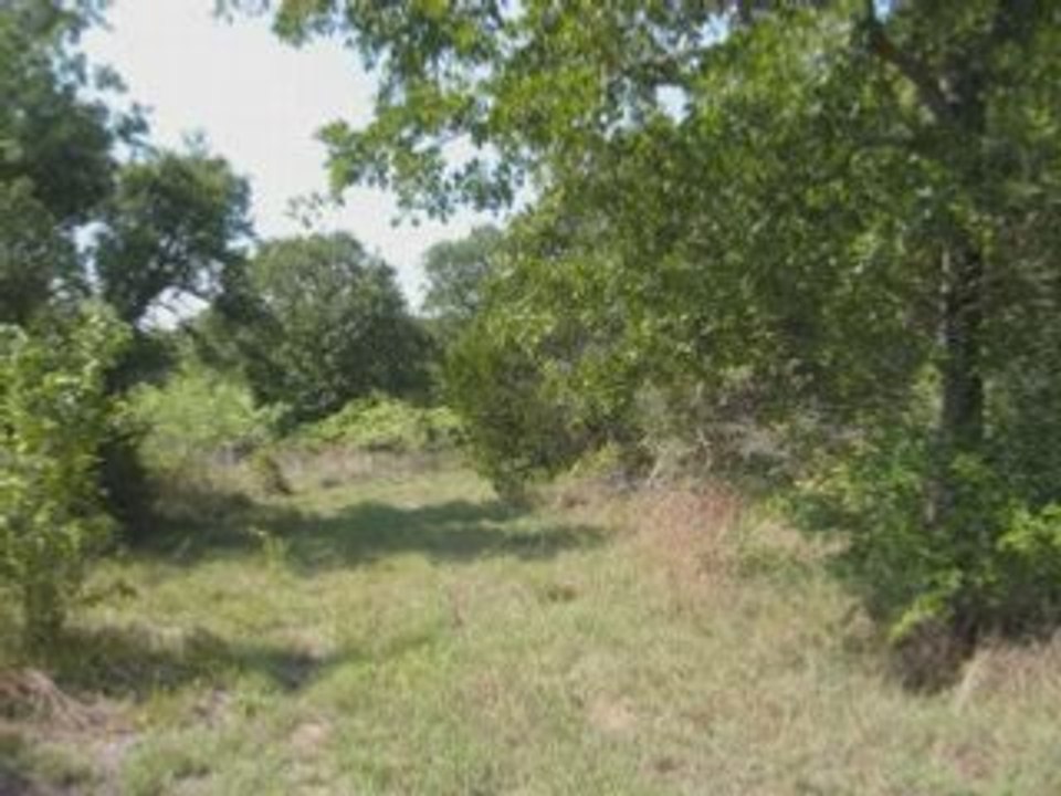 18 AC on  FM 153, Smithville, Texas