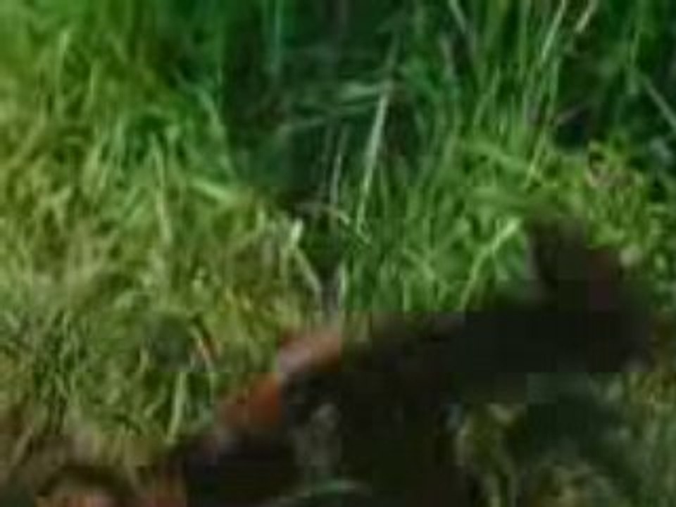 Tropic thunder trailer NEW!!!!