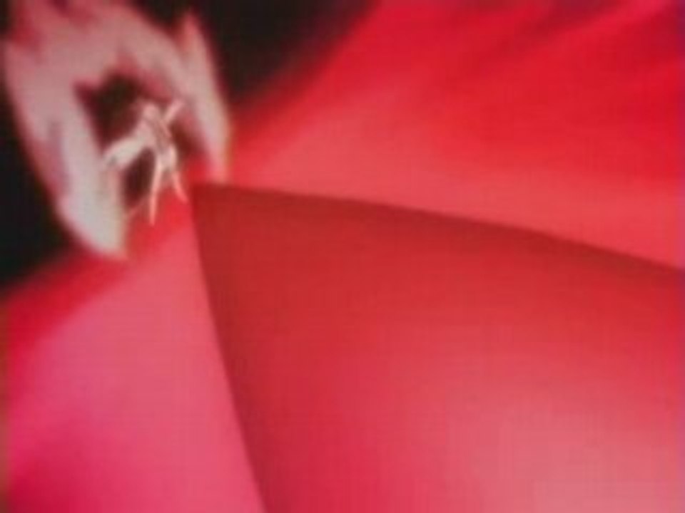 AMV Bleach Animal I Have Become